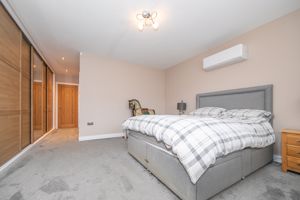 THE CONIFERS- click for photo gallery